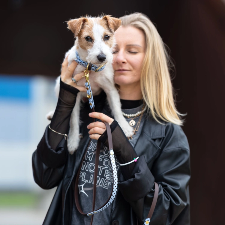 Jack Russell terrier na rękach opiekunki, smycz miejska z biothane w kropki na tle sky blue zwisa w pełnej długości