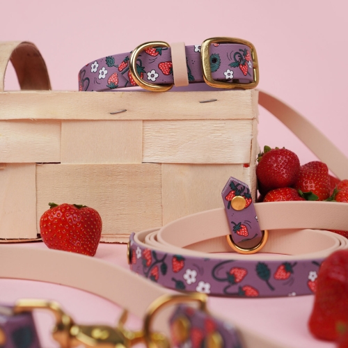Zestaw matchy-matchy Bura: obroża i smycz w truskawki, kolor mauve