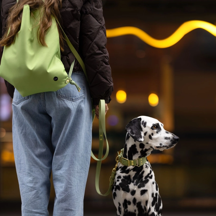 Zielona torba 2w1 noszona jako plecak na plecach opiekunki, obok siedzi dalmatyńczyk na smyczy z kolekcji
