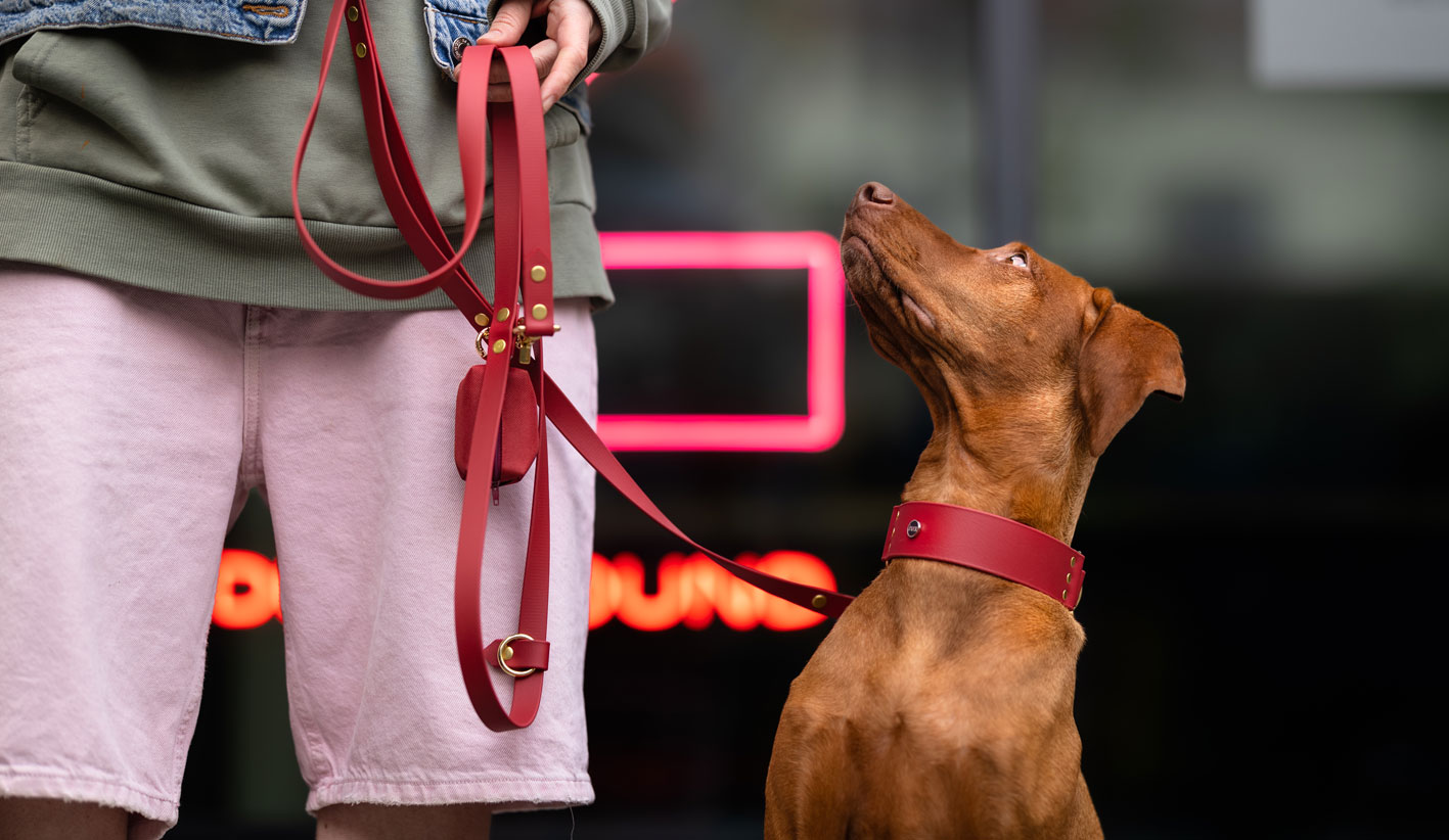 smycz multifunkcyjna biothane zgaszony czerwony vizsla neon etui na worki na kupy bura