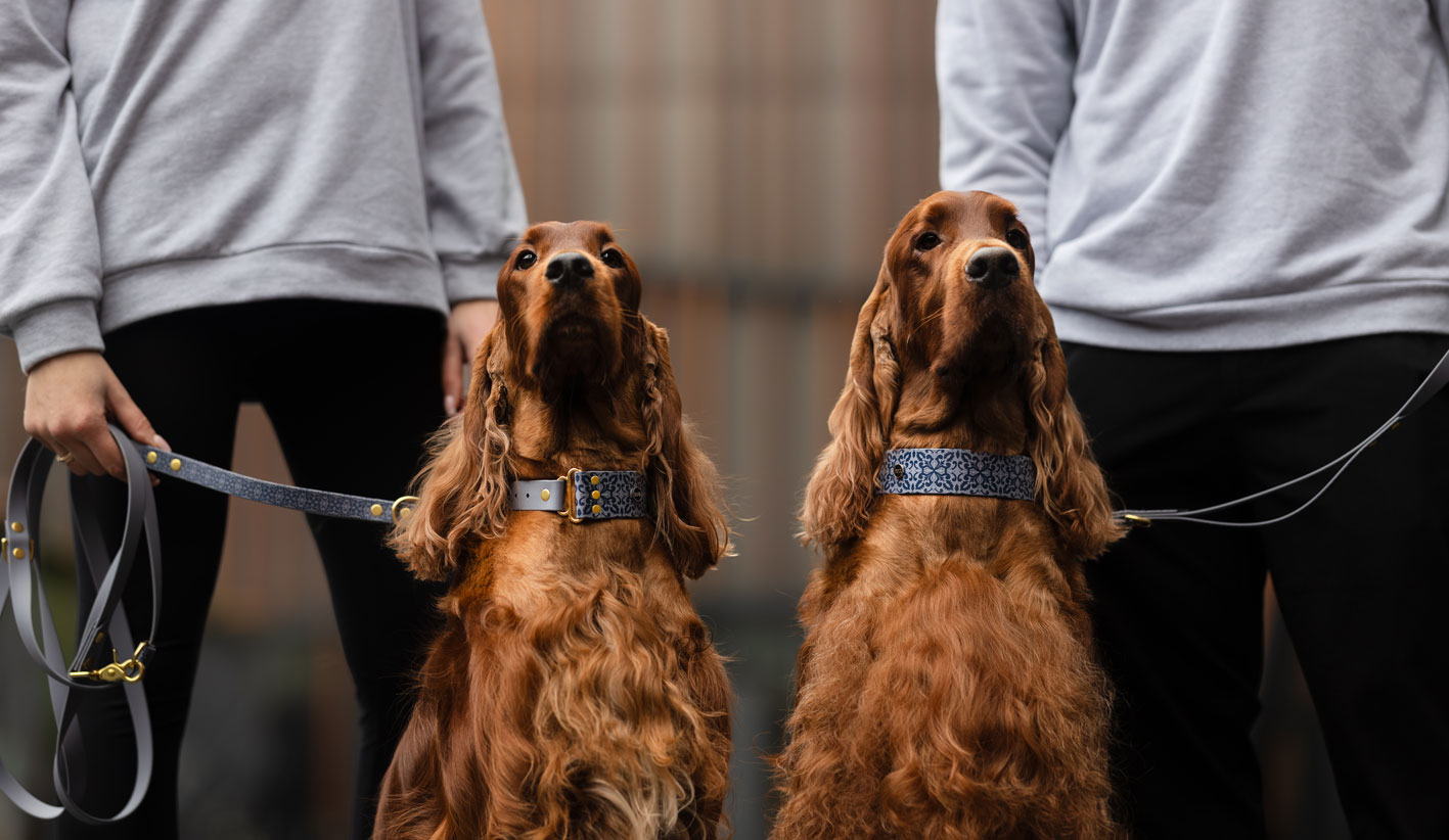 Szerokie obroże na sprzączkę z Biothane Casa Canina na psach podczas spaceru – szary wzór